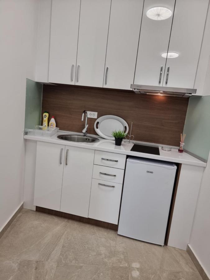 Ebra Lux Apartmani ドプラー・ヴォダ エクステリア 写真