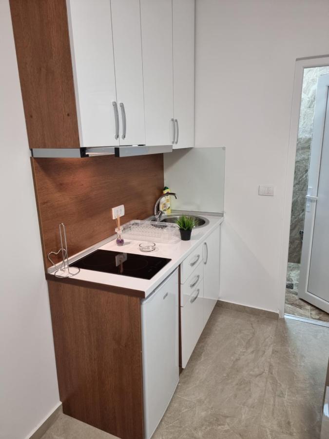 Ebra Lux Apartmani ドプラー・ヴォダ エクステリア 写真